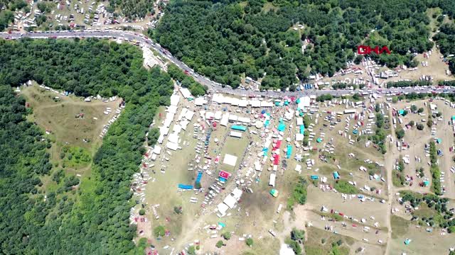 TOKAT Çıra için gövdesi oyulan ağaçların tedavisi memnunlukla karşılandı