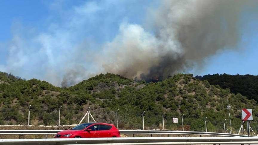 Tokat'ta orman yangını! Müdahale devam ediyor
