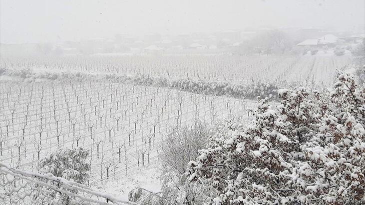 Üreticinini yüzü güldü! 'Kar değil bereket yağıyor'