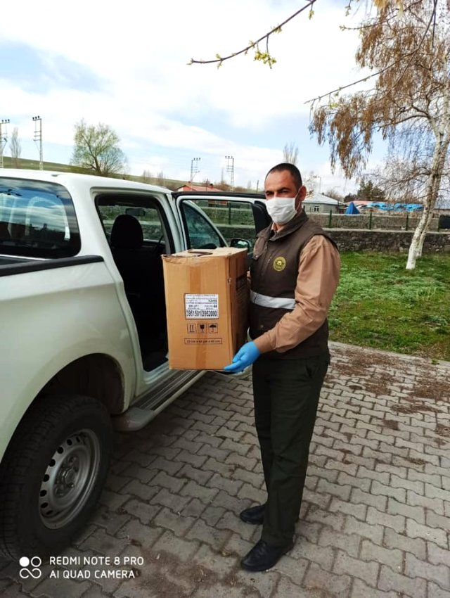 Yaralı saz delicesi tedavi altına alındı