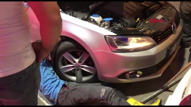 Yavru kedi için seferber oldular 