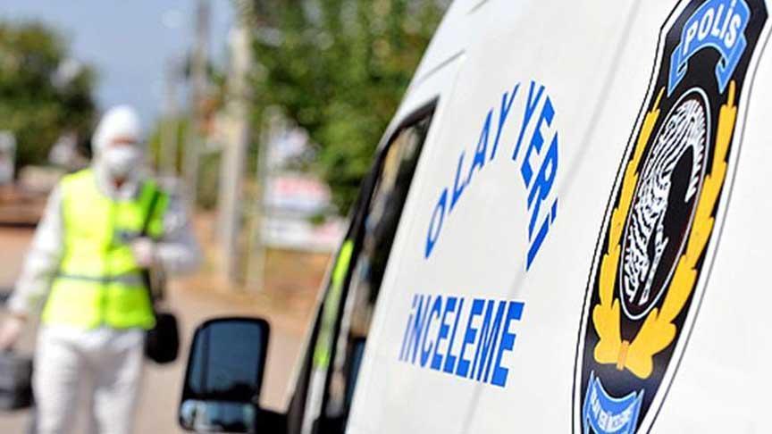 Yavru kediler öldürülmüş olarak bulundu: Korkunç olayda flaş gelişme