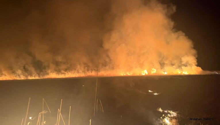 Yüksekova’daki Doğal Cennet Alevlere Teslim: Nehil Sazlığı Yanıyor!